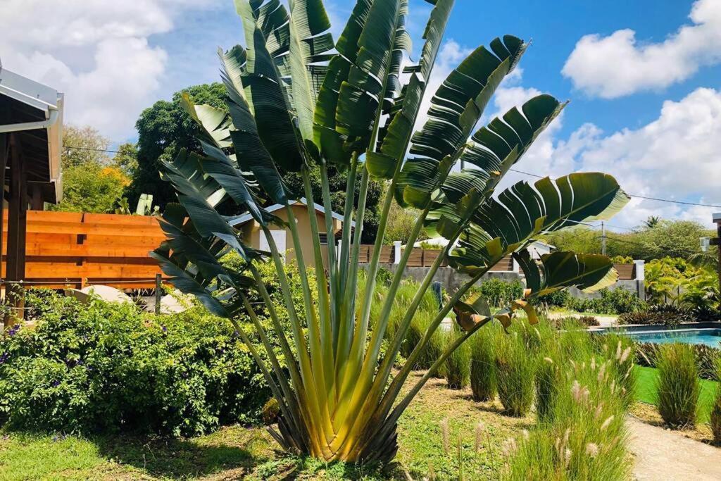 La Cabane Du Pecheur Sainte-Anne  Ngoại thất bức ảnh